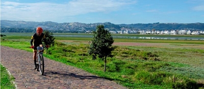 Get ready for the Knysna Bull