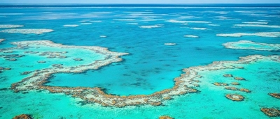 Great Barrier Reef suffers worst ever coral bleaching