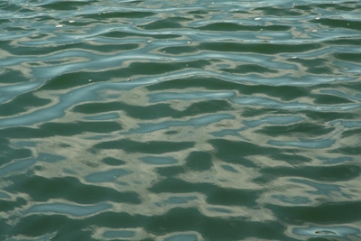 8-year-old boy drowns in dam