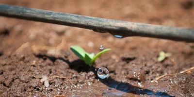 Empowerment project aims to uplift agricultural sector