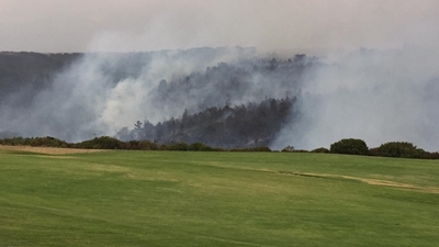 Update: George fires