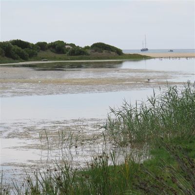 Massiewe rioolstorting in Tweekuilen