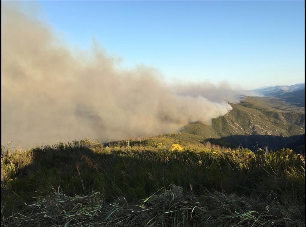 Waboomskraal fire raging again | George Herald