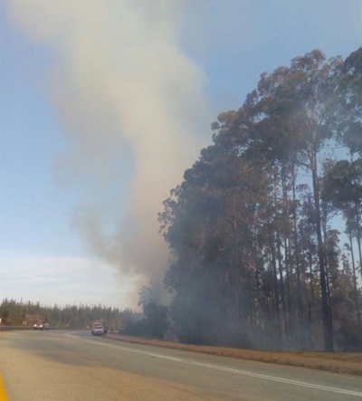 Fire brigade fighting 2 fires