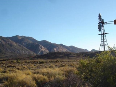Drought-stricken Karoo farmers in dire need of fodder