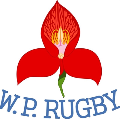 Western Province Rugby Union under final liquidation