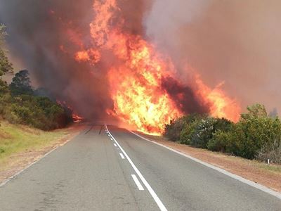 Nuutste inligting: Brande in Eden