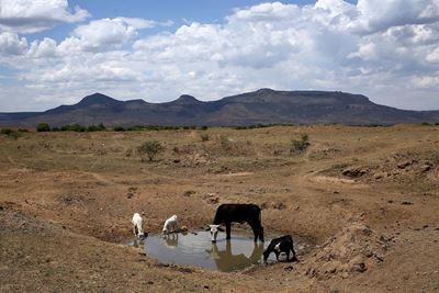 Urgent call to support drought relief fund