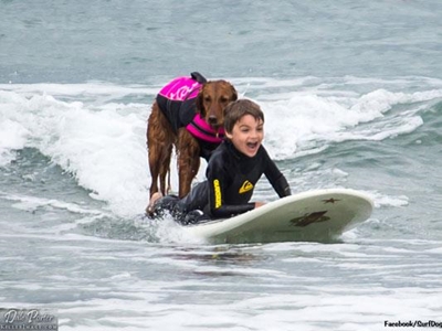 Surfing dog raises money for charity