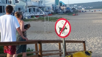 Klagtes stroom in oor honde op strande