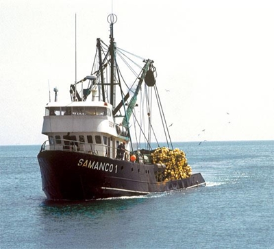 Minister disturbed by fishing interdict