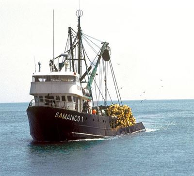 Minister disturbed by fishing interdict