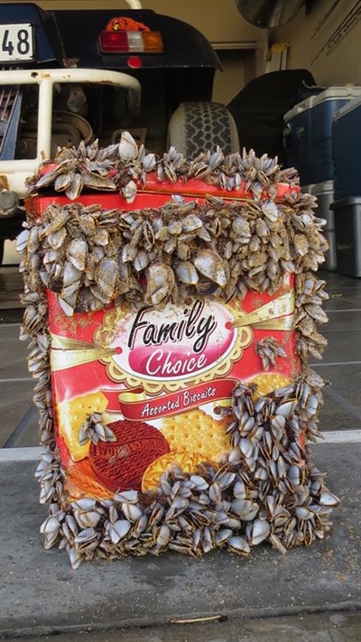 See spoel Viëtnamese koekieblik uit
