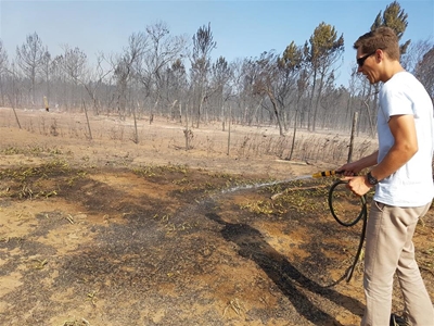 Brand buite Albertinia geblus