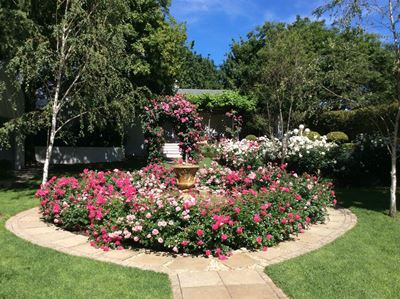 World-class talk on roses