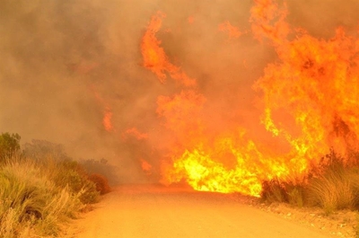 Opvolg: Brand buite Stilbaai