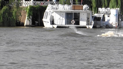 Vreemde gedierte in Vaalrivier gewaar