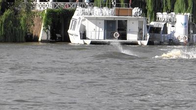 Vreemde gedierte in Vaalrivier gewaar