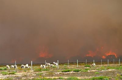 Stilbaai-brande: Kode rooi verklaar