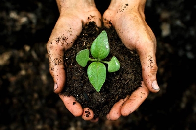 To discover Africa's biodiversity, look to the soil