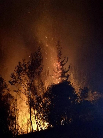 Tireless overnight fight against fire