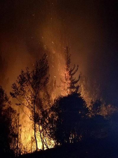 Tireless overnight fight against fire