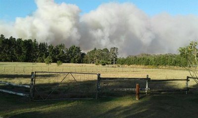 Day 6 of firefighting