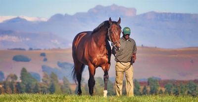Innovative BEE initiative setting stud farm grooms up for success