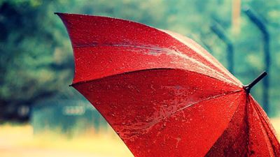 The storm that never came