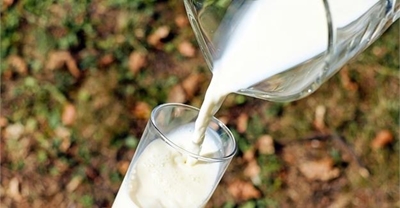 Clover refines milk plan