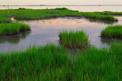 How farmers in Africa are finding ways to sustainably use wetlands