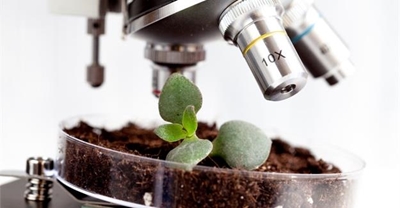 Why microbes are key to solving Africa's food security crisis