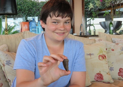 Dinosaur tooth found in Knysna
