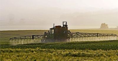 Pesticides boost arsenal against deadly armyworm