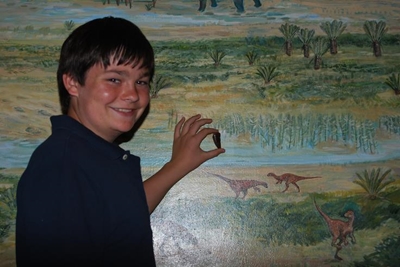 Dinosaur in Knysna: Full story