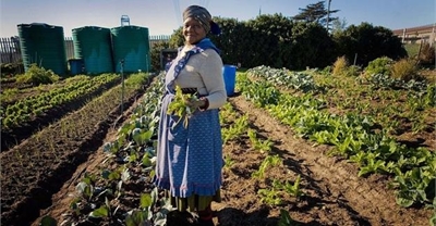 Building capacity of women farmers key to addressing food security