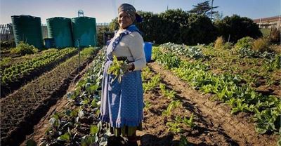 Building capacity of women farmers key to addressing food security