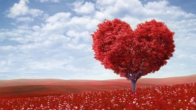 Happy Valentine's Day