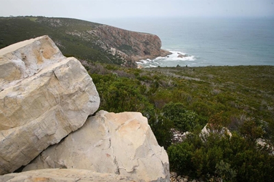 Another accolade for Plett