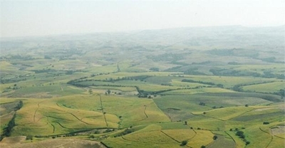 Land restitution without compensation would spell disaster for SA