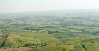 Land restitution without compensation would spell disaster for SA