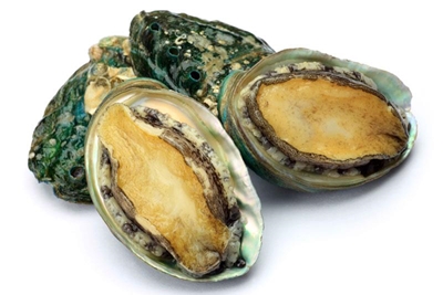 Nearly R60 million in poached abalone seized