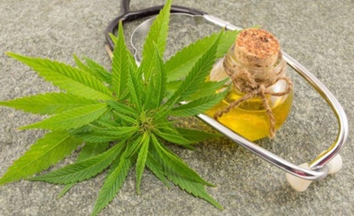 Green light for medical cannabis
