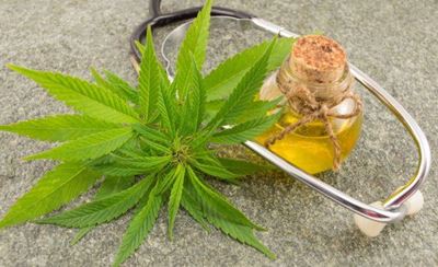 Green light for medical cannabis