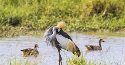 Farmers hold the key to nature conservation