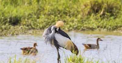Farmers hold the key to nature conservation