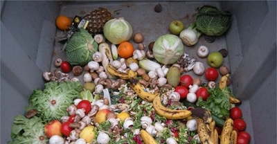 Experts seek ways to reduce food wastage