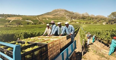 Agriculture dept targets creating 60,000 jobs