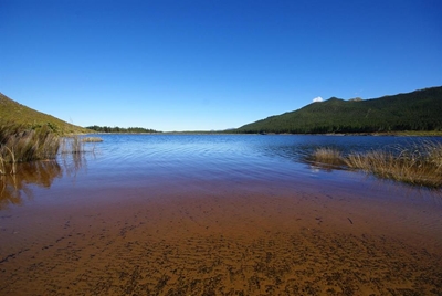 Average dam level drops to 31% in Western Cape