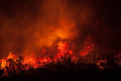 Homes destroyed in fire